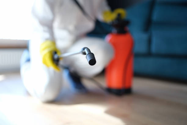 Best Biohazard Mold Removal  in Webster, FL