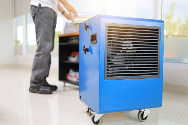 Best Residential Mold Inspection & Testing  in Webster, FL