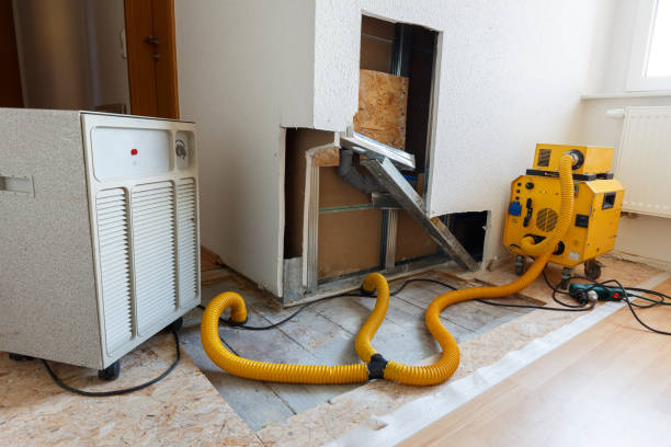 Best Dehumidification Services  in Webster, FL